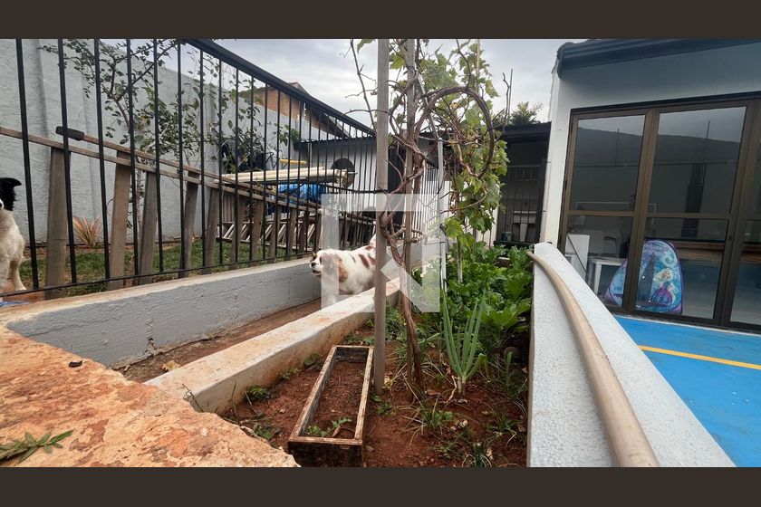 Casa à Venda - Mansões Santo Antônio, 5 Quartos,  1000 m2 em , Campinas - sp | SoloBR
