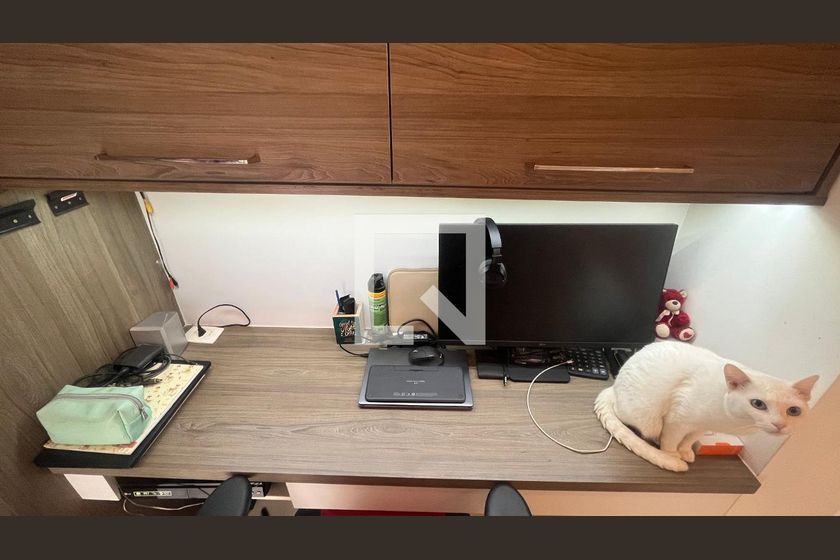 Apartamento à Venda - Taquaral, 1 Quarto,  57 m2 em , Campinas - sp | SoloBR