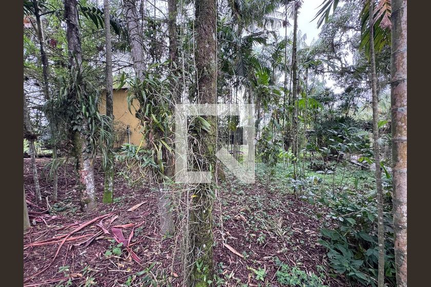 Casa, 5 quartos, 320 m² - Foto 137