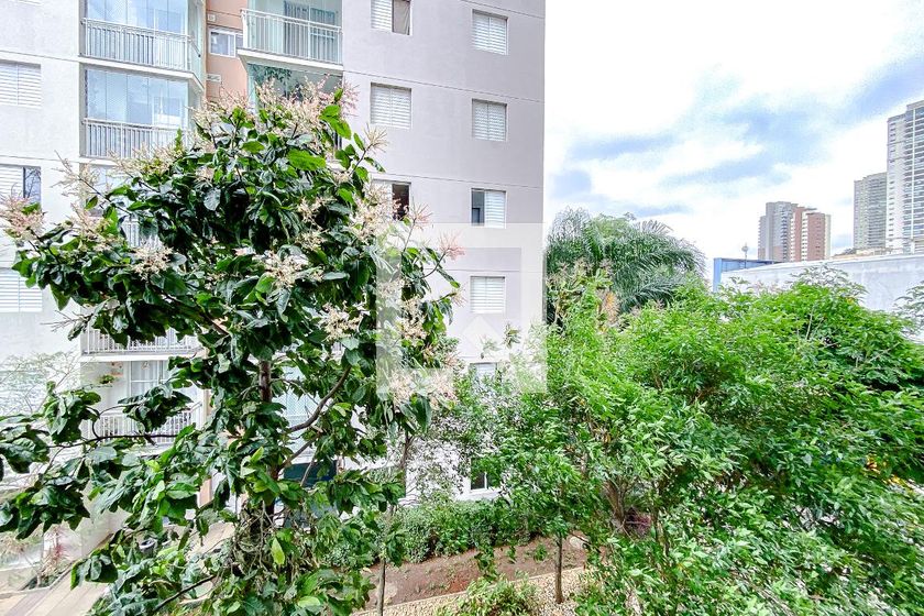 Apartamento, 3 quartos, 59 m² - Foto 23