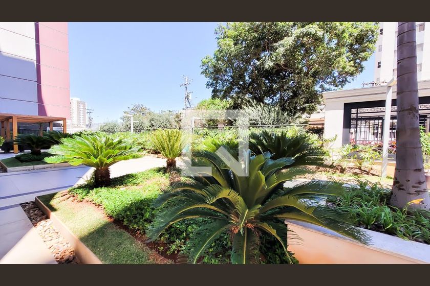 Apartamento à Venda - Taquaral, 3 Quartos,  84 m2 em , Campinas - sp | SoloBR