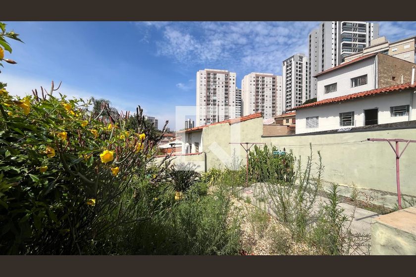 Casa à Venda - Taquaral, 2 Quartos,  300 m2 em , Campinas - sp | SoloBR