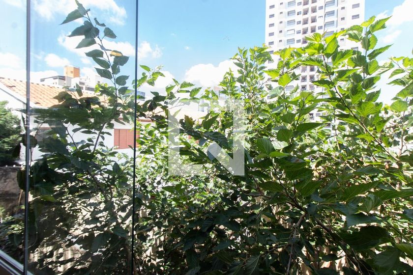 Casa à Venda - Jardim Planalto, 4 Quartos,  250 m2 em , Campinas - sp | SoloBR