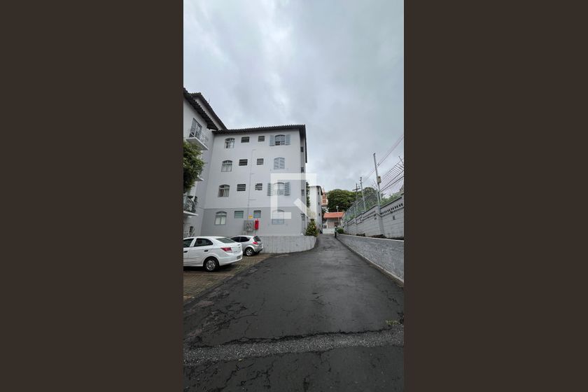 Apartamento à Venda - Jardim Flamboyant, 3 Quartos,  74 m2 em , Campinas - sp | SoloBR