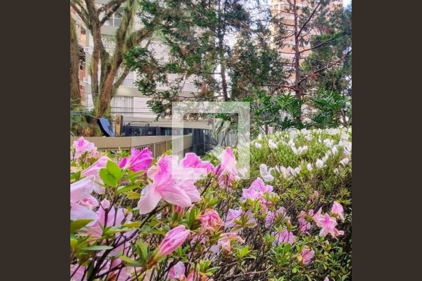 Apartamento à Venda - Cambuí, 4 Quartos,  122 m2 em , Campinas - sp | SoloBR