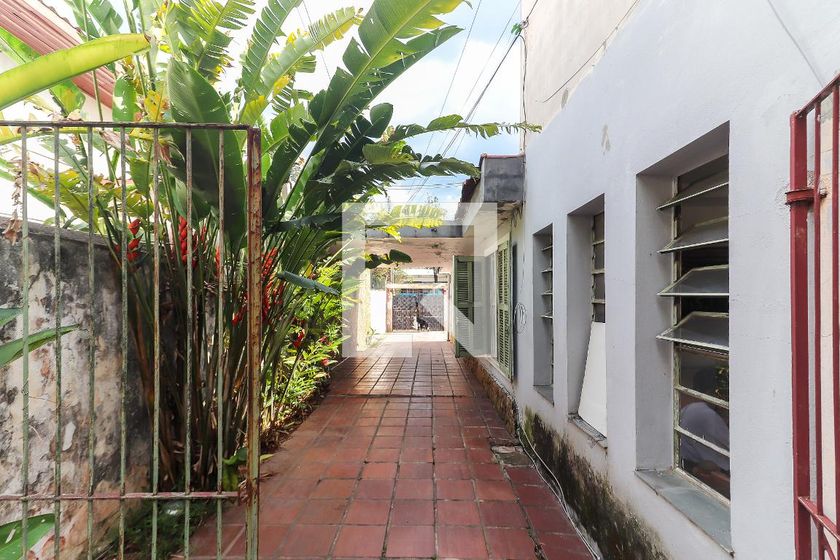 Casa, 4 quartos, 252 m² - Foto 97