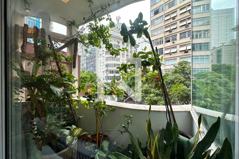 Apartamento, 4 quartos, 231 m² - Foto 31