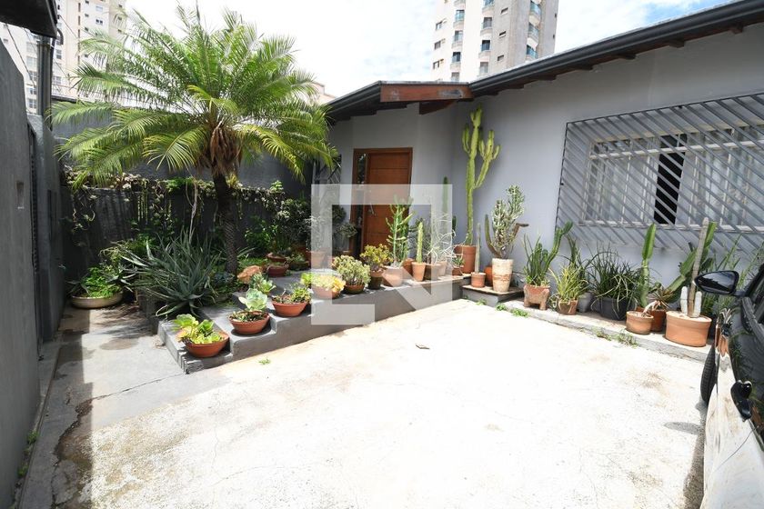Casa à Venda - Cambuí, 3 Quartos,  190 m2 em , Campinas - sp | SoloBR