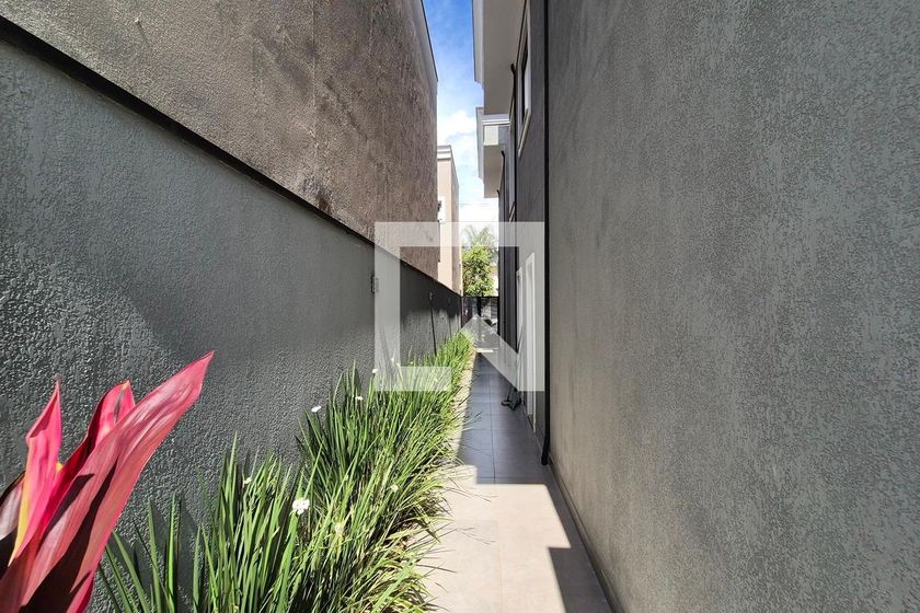 Casa à Venda - Swiss Park, 3 Quartos,  360 m2 em , Campinas - sp | SoloBR