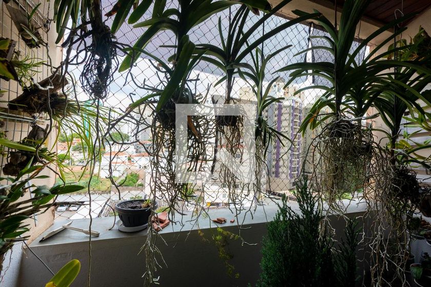 Apartamento à Venda - Cambuí, 1 Quarto,  65 m2 em , Campinas - sp | SoloBR