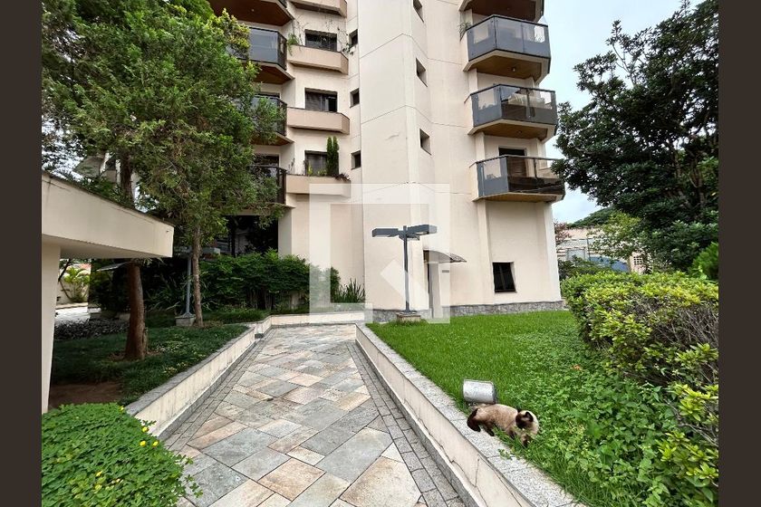 Casa, 3 quartos, 256 m² - Foto 78