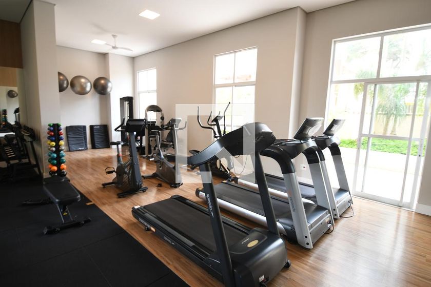Apartamento à Venda - Mansões Santo Antônio, 2 Quartos,  104 m2 em , Campinas - sp | SoloBR