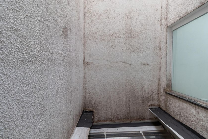Apartamento – São Paulo - Vista 2