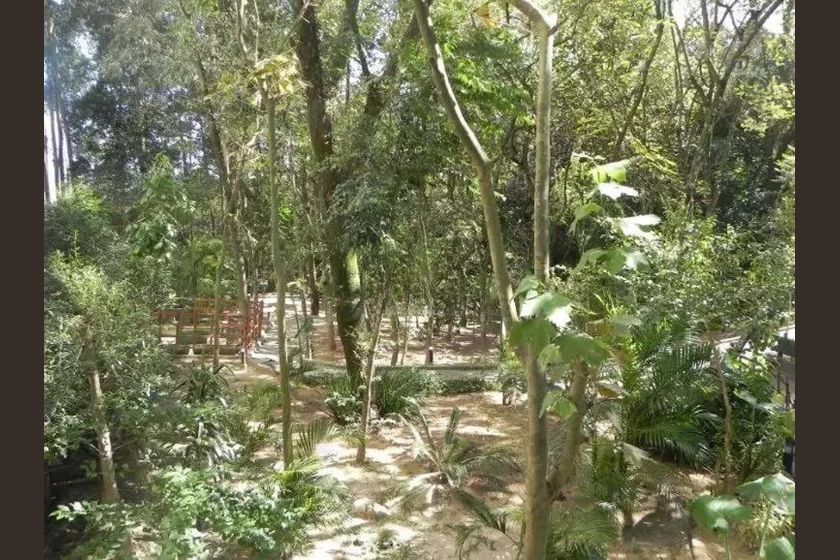 Apartamento – São Bernardo do Campo - Vista 5