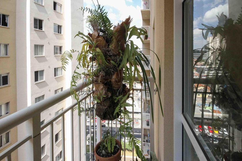 Apartamento em Vila Graciosa - Widok 6