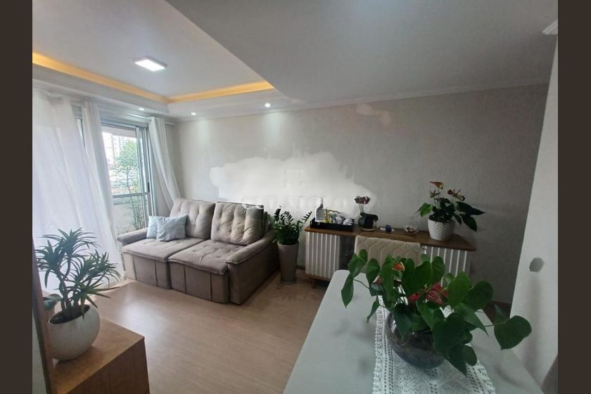 Apartamento em Vila Bela - Widok 2