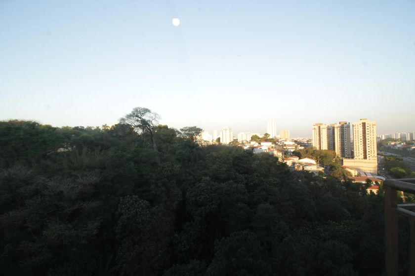Apartamento – São Paulo - Vista 5